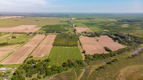 Campo A La Venta En Santa Rosa De Calchines