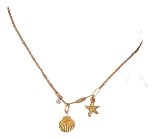 Collar Con Colgante Concha De Estrella De Mar Y Nicho Dorado