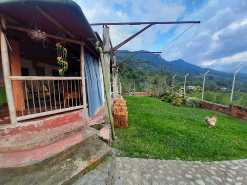 Imagen 13 de 16 de Se Vende Finca De 4.5 Cuadras En Calarcá