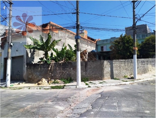 Imagem 7 de 7 de Casa Sobrado Em Jardim Camargo Novo - São Paulo - 5531