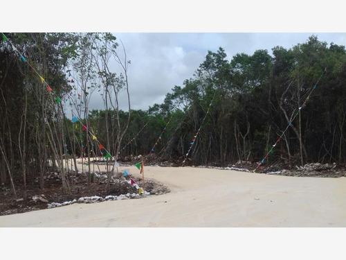 Imagen 11 de 12 de Terreno En Venta Residencial Playa