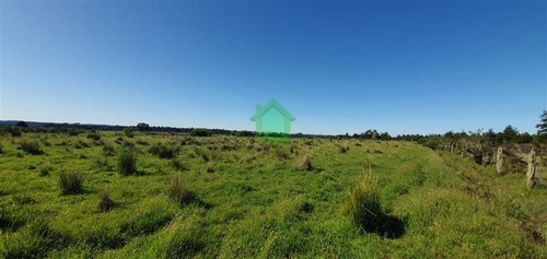 Imagen 3 de 5 de Agricola Venta Las Lomas, Río Maullin Puerto Montt