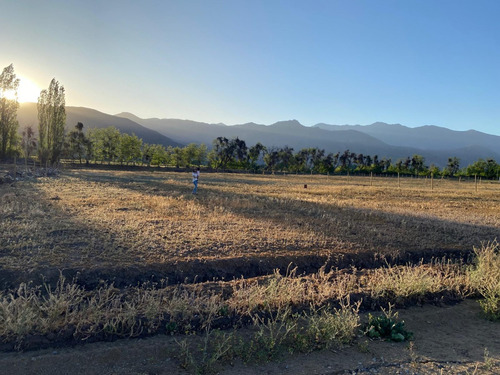 Terreno 5000 M2 Con Derechos De Agua Y Servicios Básicos.