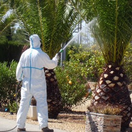 Imagen 10 de 10 de Servicio De Jardinería, Jardineros Profesionales A Domicilio