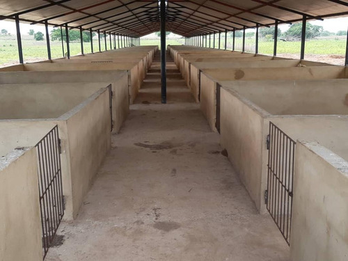 Se Vende Finca En Valle De La Pascua / Rrev09m
