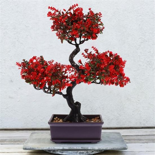 Mesa De Decoración De Comedor Con Árbol Bonsái Para Interior