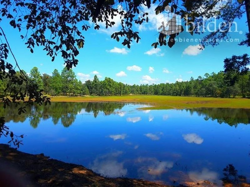 Imagen 1 de 12 de Terreno En Venta Bosques De Llano Grande