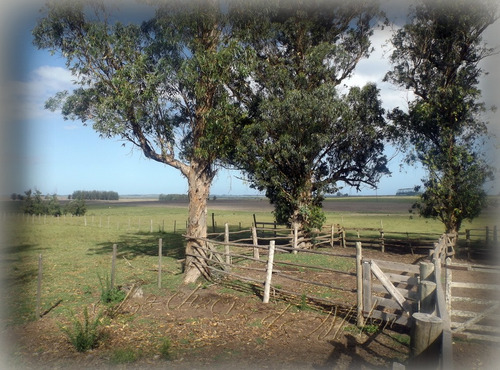 Campo De 35 Hectáreas (con Casa)