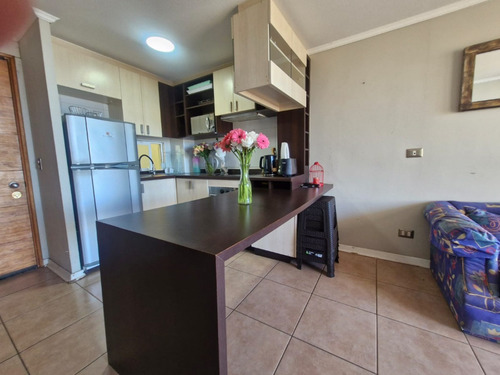Arriendo Departamento Amoblado En Costa De Montemar!!
