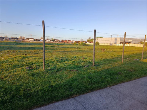 Local Comercial Quilamapu Junto A Lider En Venta En Chillán