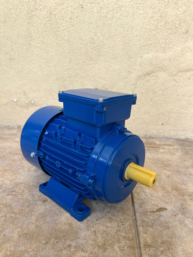 Motor Electrico Trifasico De 1/2hp 900rpm Blindado
