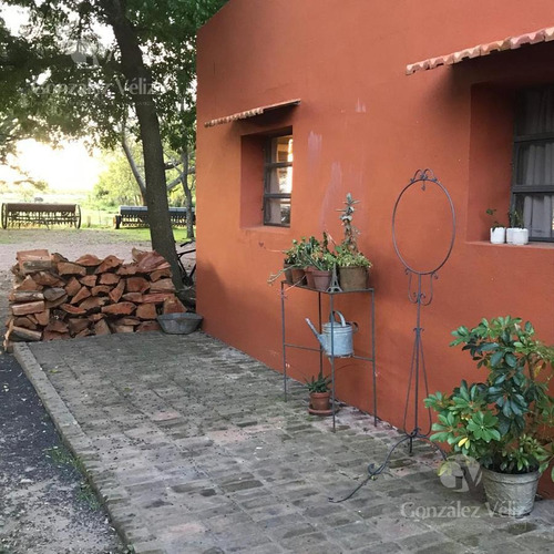 Imagen 8 de 18 de Chacra - Carmelo