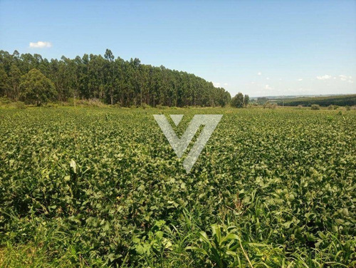 Imagem 11 de 21 de Área À Venda, 302500 M² - Agenor - Salto De Pirapora/sp - Ar0020