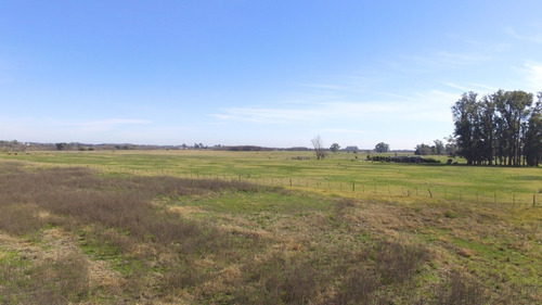 Venta Campo 3.2 Ha En Mercedes, Buenos Aires. Cercano Al Centro De Mercedes.