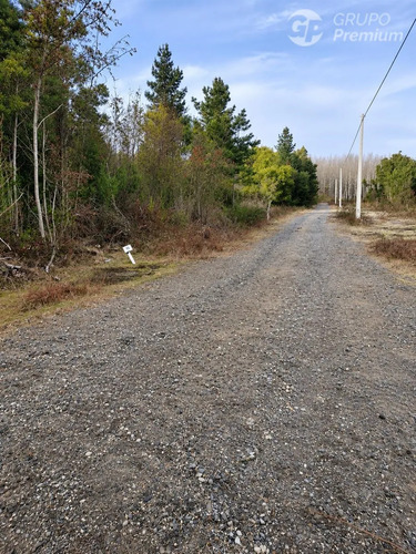 Parcela En Venta 5000m2 Con Apr Yungay