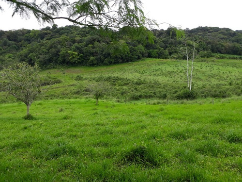 Fazenda - Fa00002 - 34684872