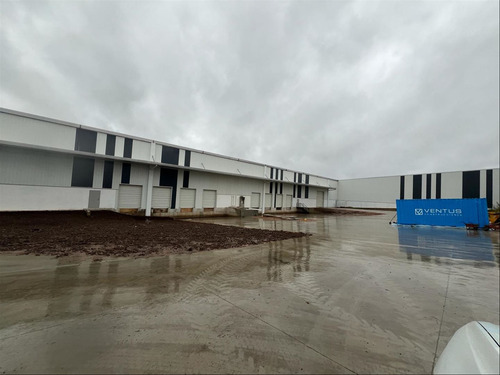 Alquiler Local 6500m2 A Metros Ruta 1 Y Cno Bajo La Petisa