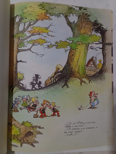 Asterix Como Obelix Se Cayo Del Druida... - Goscinny (Usado)