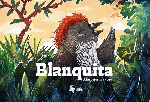 Blanquita, Atlapetes Blancae