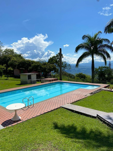 Finca En Venta Fredonia Antioquia 