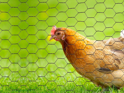 Malla Hexagonal Malla Gallinero Alambre 60cm X 3 Mt