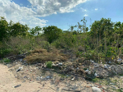 Imagen 4 de 7 de Terreno En Conkal 9.2 Has $697 M2