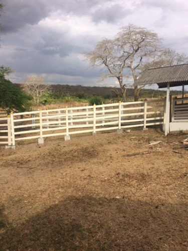 Imagem 8 de 20 de Ótimo Para Empreendedorismo, Fazenda 16 Hec, Rio E 2 Açudes Perene, Agrestina - Fa00007 - 68991513