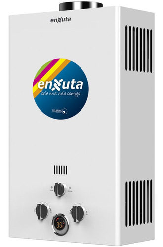 Imagen 2 de 3 de Calentador Instantaneo Calefon A Gas 10 Litros/min Enxuta