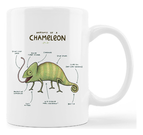  Copo De Caneca De Camaleão Engraçado, Anatomia De Uma Canec