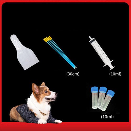 Kit De Cría De Perros Inseminación Artificial Accs