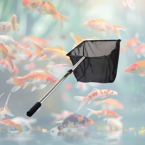 Red De Pesca Telescópica Para Captura De Peces, 12 Pulgadas