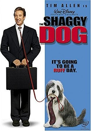 The Shaggy Dog - Remake 1994 - Dvd Tim Allen - Walt Disney