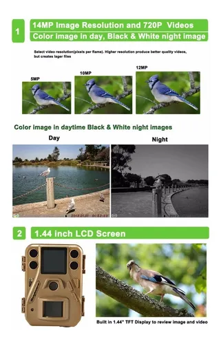 Camara Ave Espia Seguridad Nocturna Animal Sensor Caza Auton