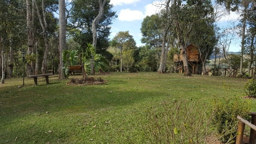 Imagem 8 de 13 de Chácara Ótima Localização Santo Antônio Do Pinhal - Sp - Rio Preto - Ch-12500