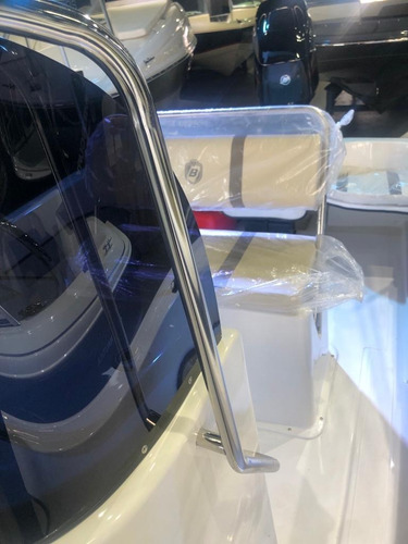 Imagen 10 de 19 de Bermuda Safari 550 Mercury 60hp Ct 4t - Entrega Inmediata!!