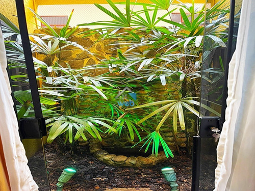 Imagem 28 de 30 de Se Você Está Procurando Por Uma Casa Com Personalidade, Que Você Olhe E Sinta Aquele Algo A Mais E Que Ofereça 3 Quartos Ou Mais, Hidromassagem, Edícula Nos Fundos 3 Vagas De Garag - Ca01764 - 702711