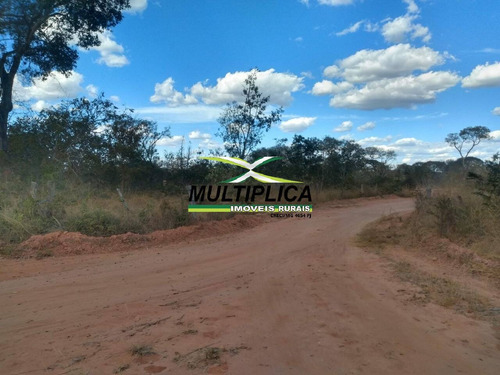 Imagem 7 de 15 de Fazenda 102,22 Hectares, R$ 2.788,10 Ha, Santa Fé De Minas Mg, Pecuária, - 442