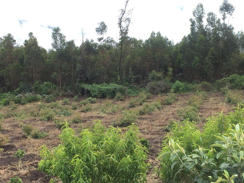 Imagen 12 de 12 de Vendo Terreno En Mira Carchi 4000 Metros