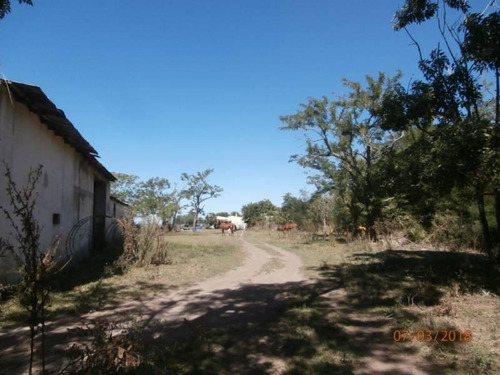Imagen 14 de 25 de Campo Alto A 60 Km Del Ovelisco 376 Hectareas Con Mejoras