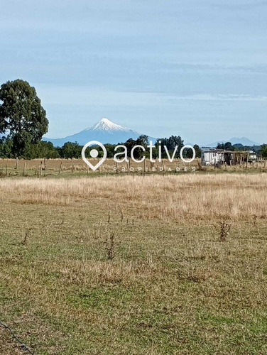 Venta Campo Río Bueno