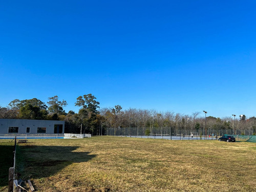 Imagen 7 de 8 de Terreno En Venta En Guillermo Hudson
