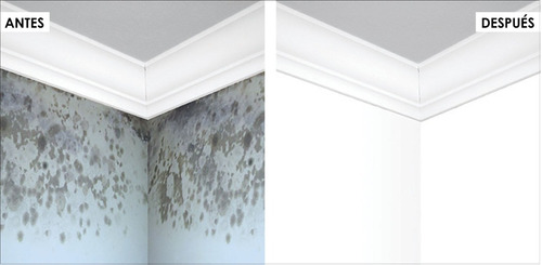 Imagen 4 de 9 de Pintura Latex Interior Perma-white Anti Hongo Y Moho .946l