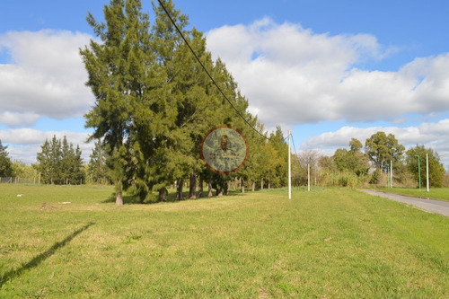 Imagen 20 de 30 de Terreno Lote En Venta Ubicado En Manuel B Gonnet, La Plata