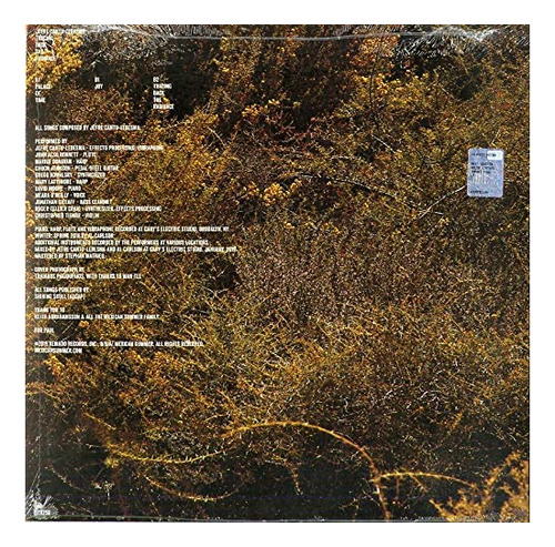 Vinilo: Cantu-ledesma Jefre Tracing Back The Radiance Usa Im