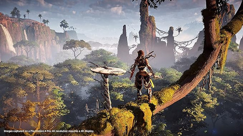 Juego Físico Horizon Zero Dawn Para Playstation 4 Ps4 (Usado)