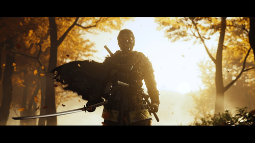 Ghost Of Tsushima Ps4 Formato Físico Original (Usado)