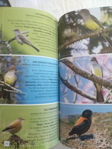 Aves De Cordoba Y Centro De Argentina Tito Narosky Libro