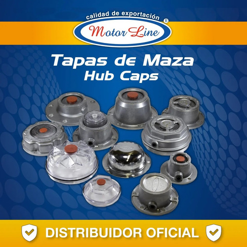 017 / Tapa Maza / Hub Cap / Roscado / Aceite / Eje Dexter 4