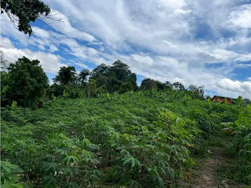 Finca Para La Venta De 5 Cuadras En Circasia