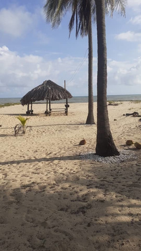 Imagen 23 de 27 de Casa Ideal Para Posada Boca De Uchire Itsmo Caribe Salida A La Playa